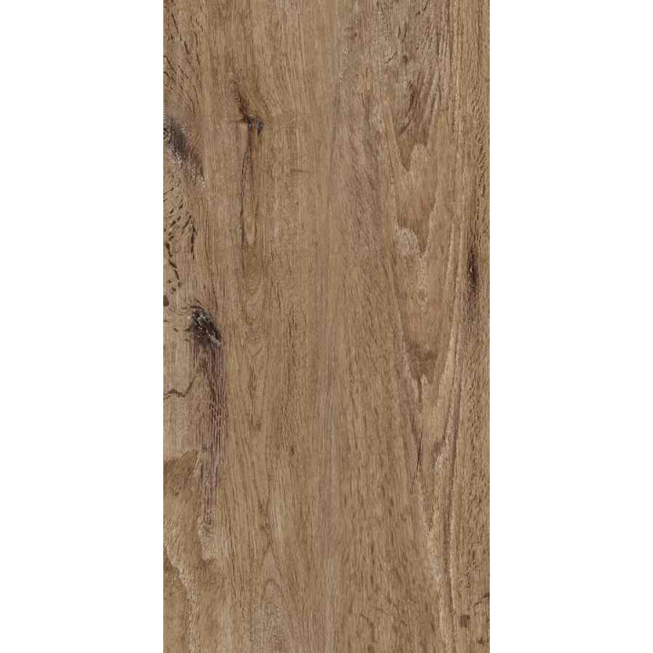 SIENA MARRONE 31X62