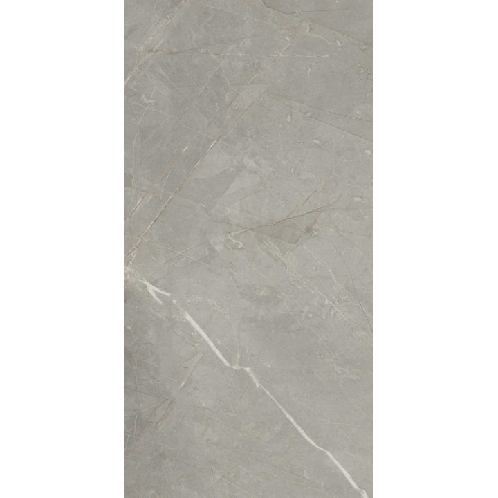 PURE GREY 31X62