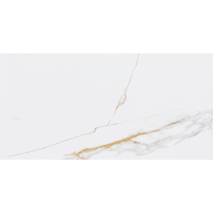 CORIENTO GOLD GL.325B.PS.WL 60X30