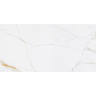 CORIENTO GOLD POLER GRS.376B.P 120X60