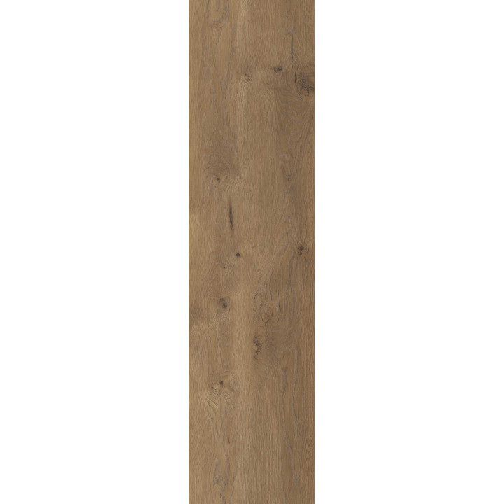 TAIGA BROWN GRES SZKL. REKT. 30X120