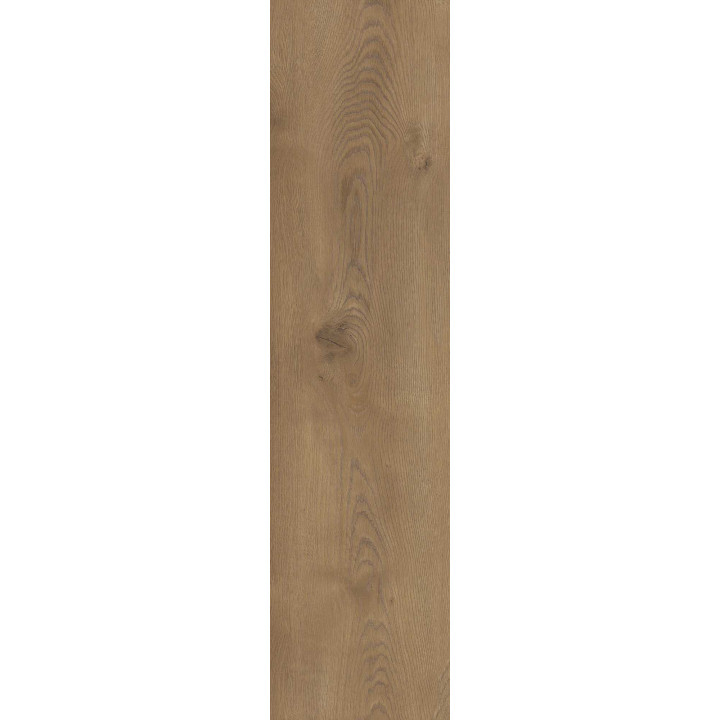 TAIGA BROWN GRES SZKL. REKT. 30X120