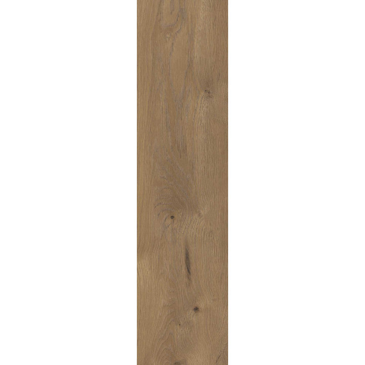 TAIGA BROWN GRES SZKL. REKT. 30X120