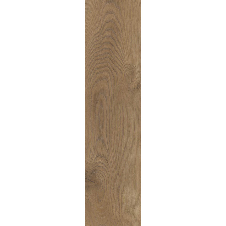 TAIGA BROWN GRES SZKL. REKT. 30X120