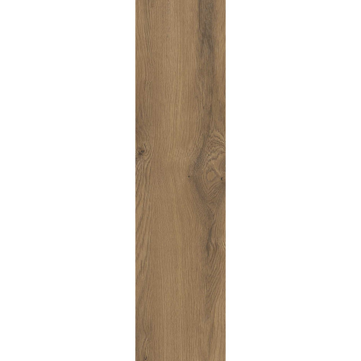 TAIGA BROWN GRES SZKL. REKT. 30X120