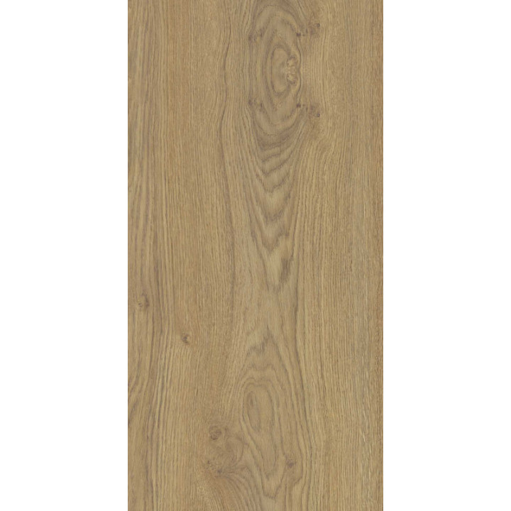 VARBERG BEIGE GRES SZKL. 31X62