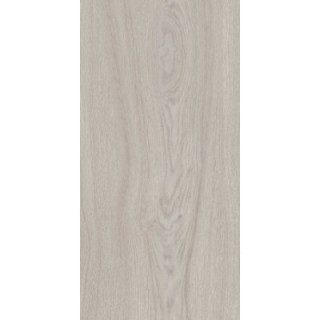 VARBERG GREY GRES SZKL. 31X62