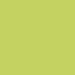 GAMMA SELEDYNOWA SCIANA POLYSK 19