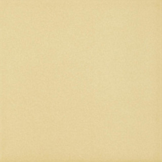 GAMMO BEZOWY GRES SZKL. MAT. 19