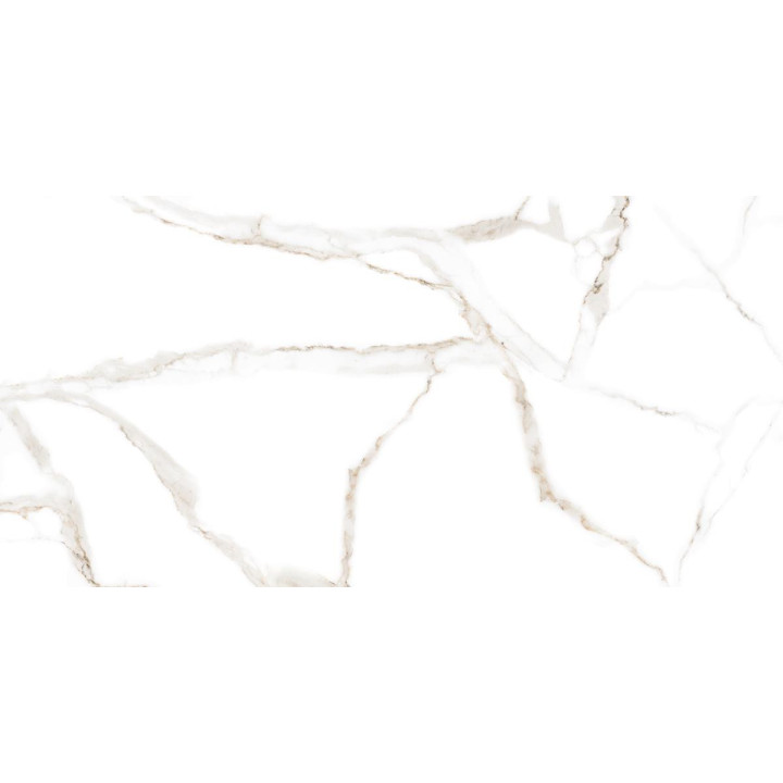 CARRARA WHITE MATT 60X120