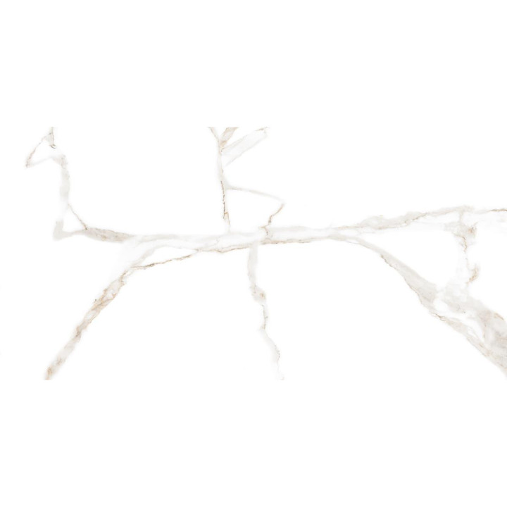 CARRARA WHITE MATT 60X120