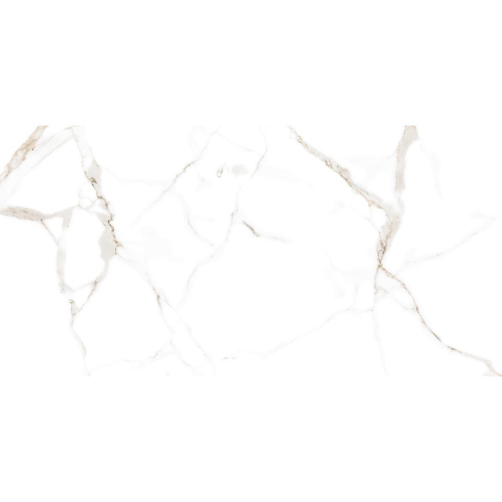 CARRARA WHITE MATT 60X120