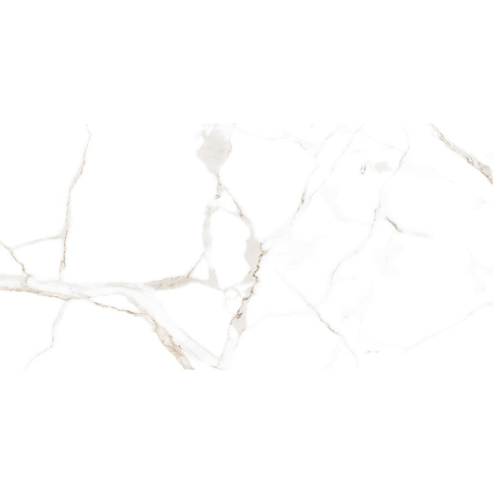 CARRARA WHITE MATT 60X120