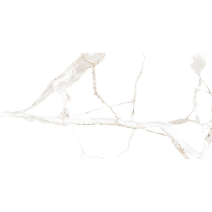 CARRARA WHITE MATT 60X120
