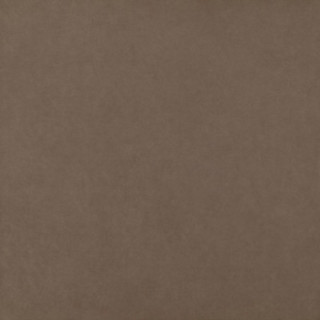 INTERO BROWN GRES REKT. MAT. 59