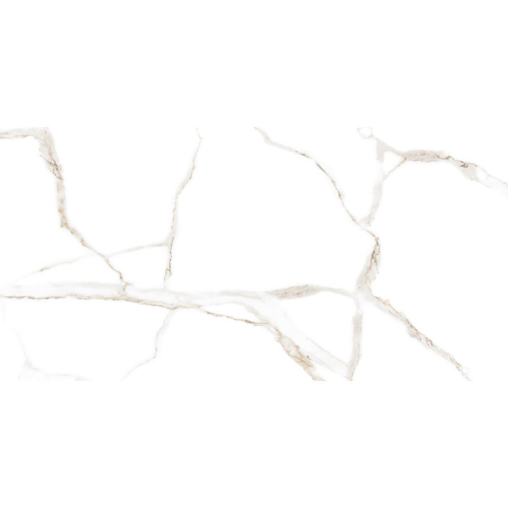 CARRARA WHITE MATT 60X120