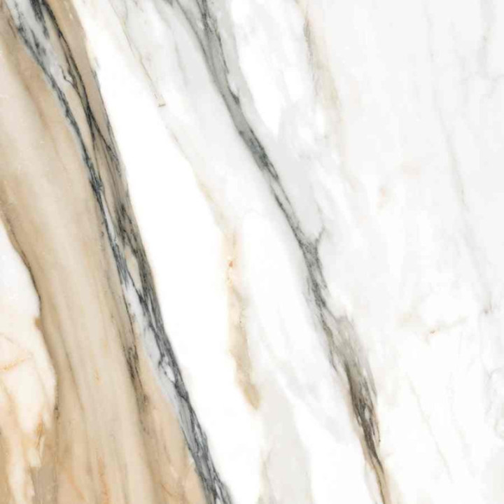 CALACATTA GOLD REKT. MAT 60X60