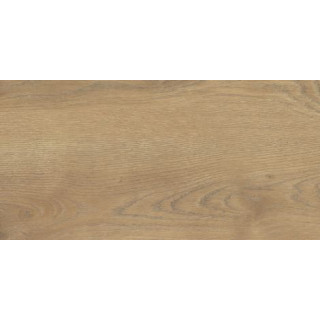 TAIGA HONEY GRES SZKL. 31X62