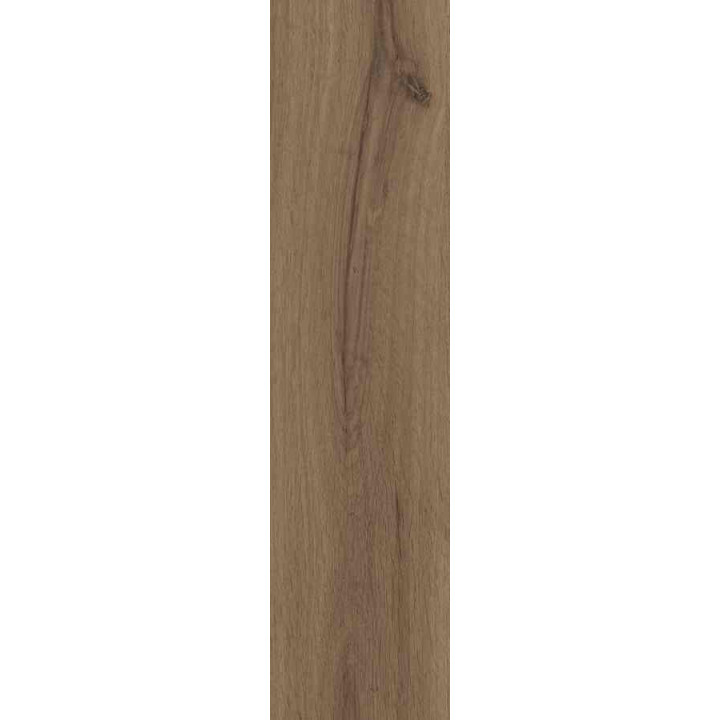 DUBLIN BROWN 15