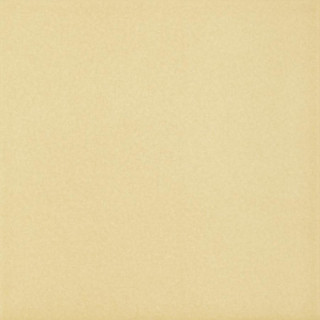 INWEST BEZOWY GRES SZKL. MAT. 19