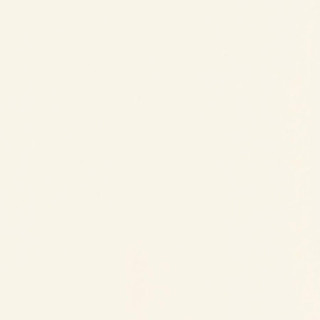 INWESTA BIANCO SCIANA MAT. 19